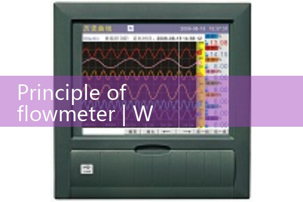 Principle of flow meter